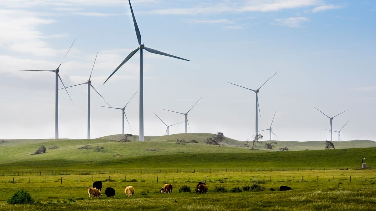 Fotografía que ilustra la noticia: Iberdrola encabeza la potencia eólica instalada y casi duplica al segundo promotor del ranking