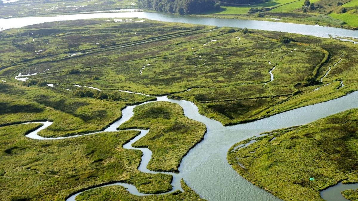 Fotografía que ilustra la noticia: La Audiencia Nacional avala la rebaja de protección ambiental que la Diputación de Bizkaia pidió para el frustrado Guggenheim de Urdaibai