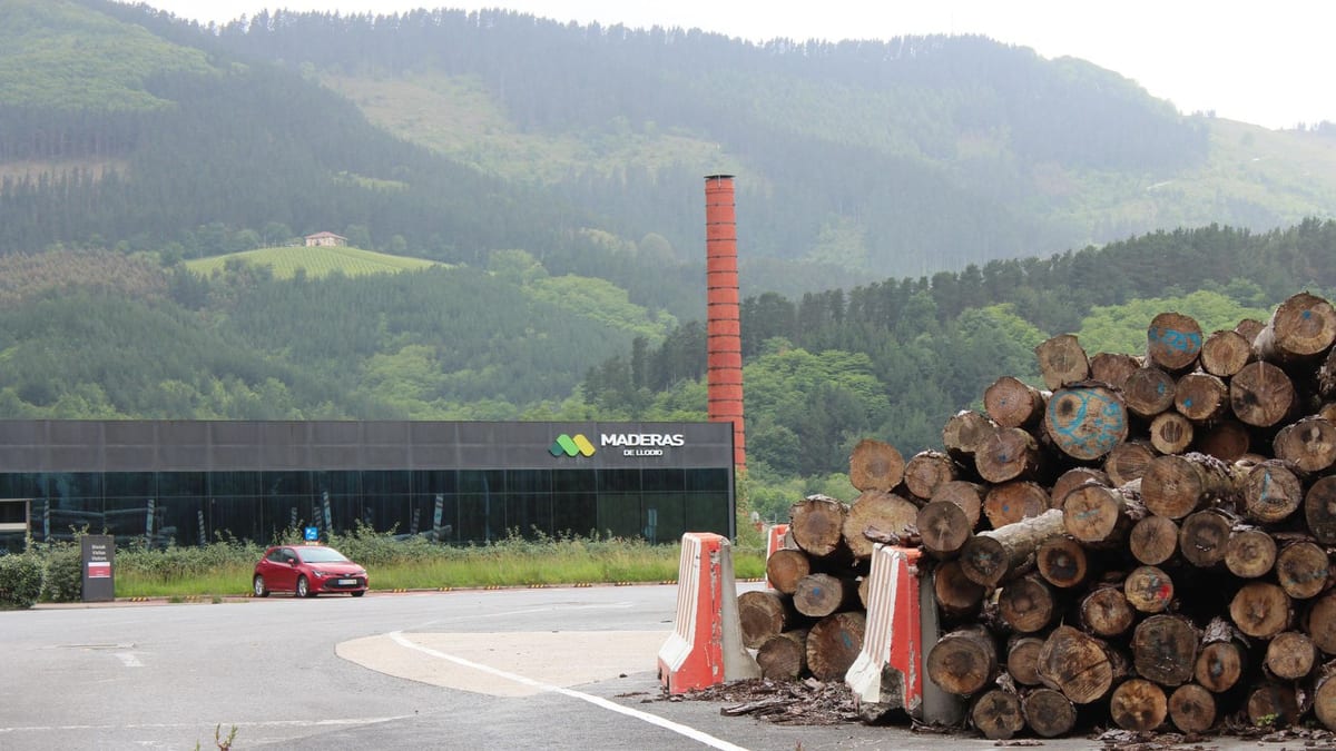 Fotografía que ilustra la noticia: La competencia asiática condiciona el ERTE de Maderas de Llodio tras la huelga de 280 días