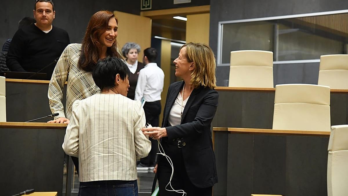 Fotografía que ilustra la noticia: Podemos condiciona el pacto fiscal de PNV y PSE en Guipúzcoa: exige derogar los “privilegios” para atraer talento