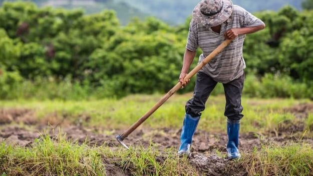 Fotografía que ilustra la noticia: Un ganadero vasco denuncia la competencia desleal de Mercosur y pide revisar la catalogación de la DNC